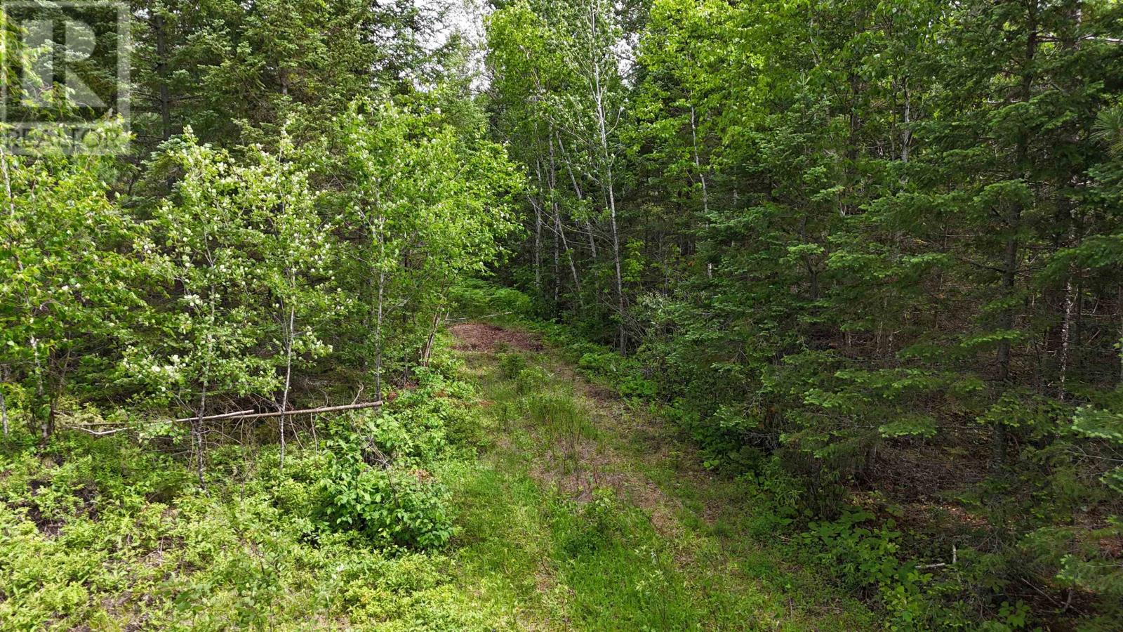 242 Longbow Lake Road, Longbow Lake, Ontario  P0X 1H0 - Photo 38 - TB2601666