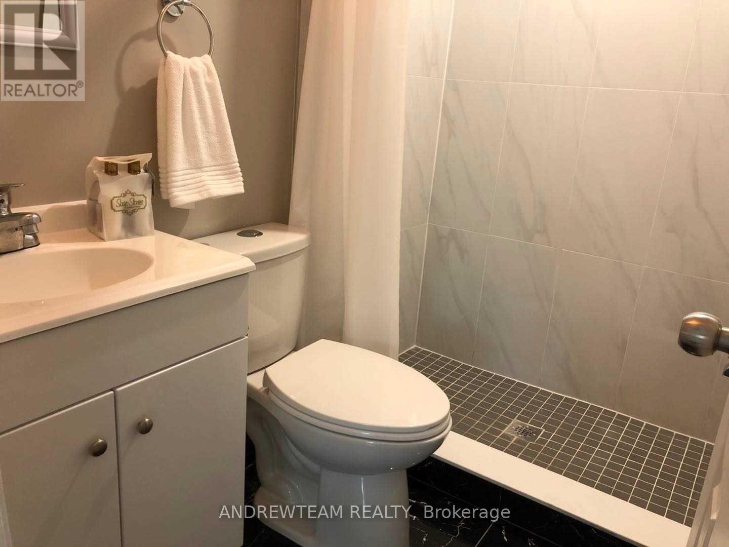 3 Church Street S, Richmond Hill, Ontario  L4C 1W1 - Photo 18 - N13704476
