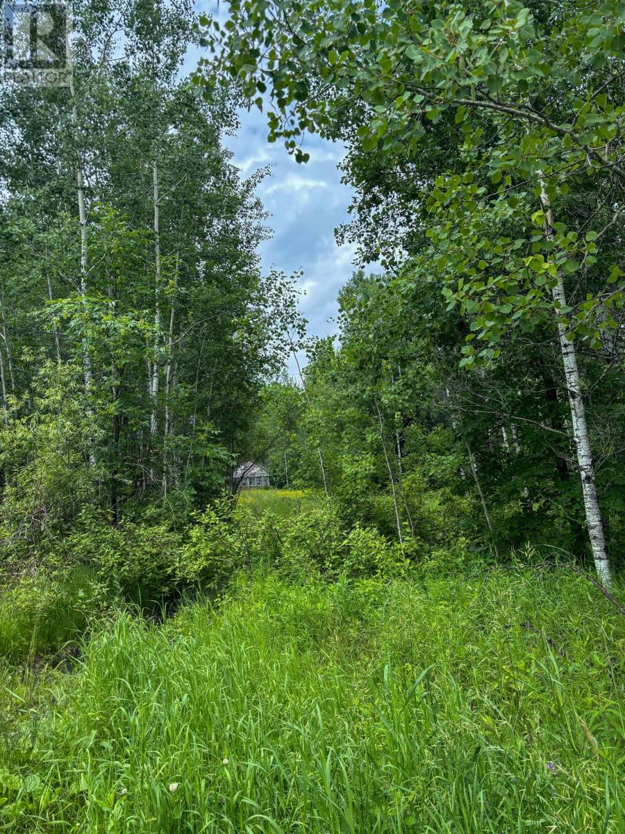15 Malachi, S972, NW Of Keewatin, Ontario  P0X 1C0 - Photo 8 - TB2601762