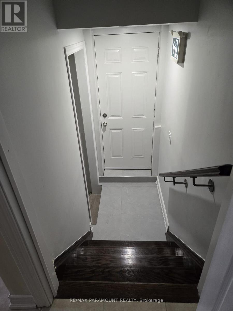 Basement - 81 Leadenhall Road, Brampton, Ontario  L7A 4G9 - Photo 3 - W13704552