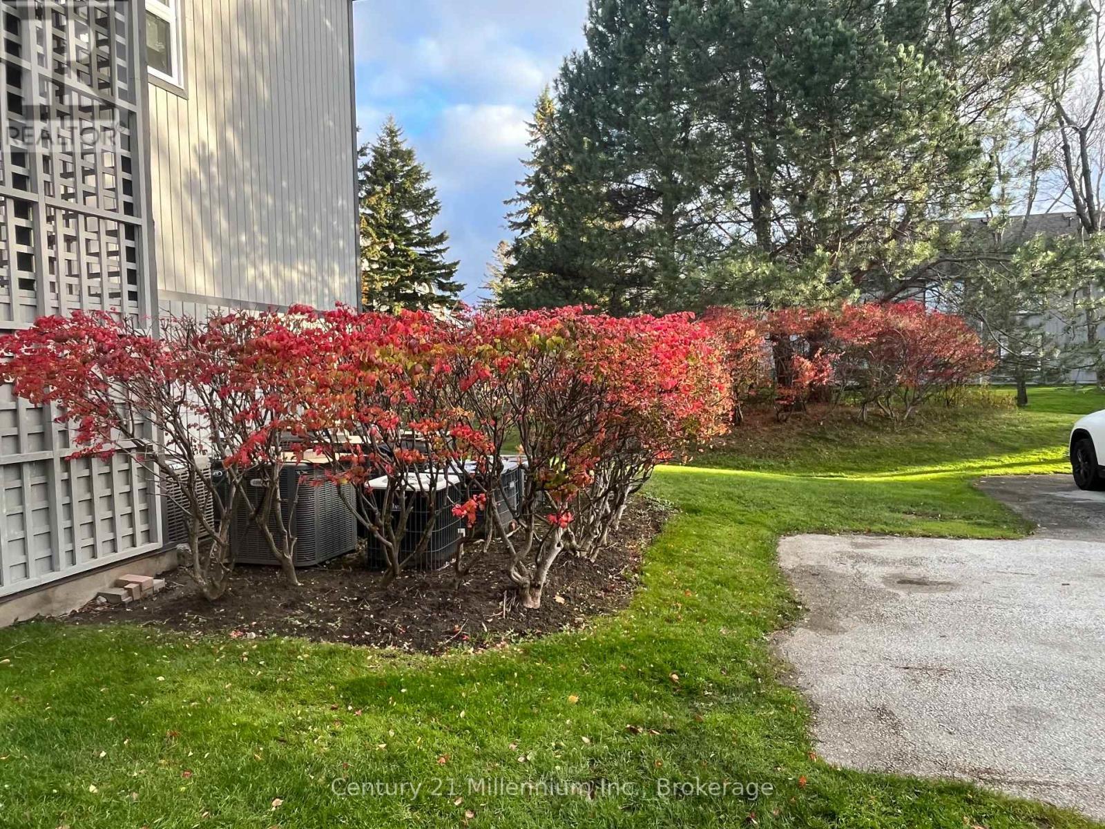 706 Johnston Park Avenue, Collingwood, Ontario  L9Y 5C7 - Photo 12 - S13704648