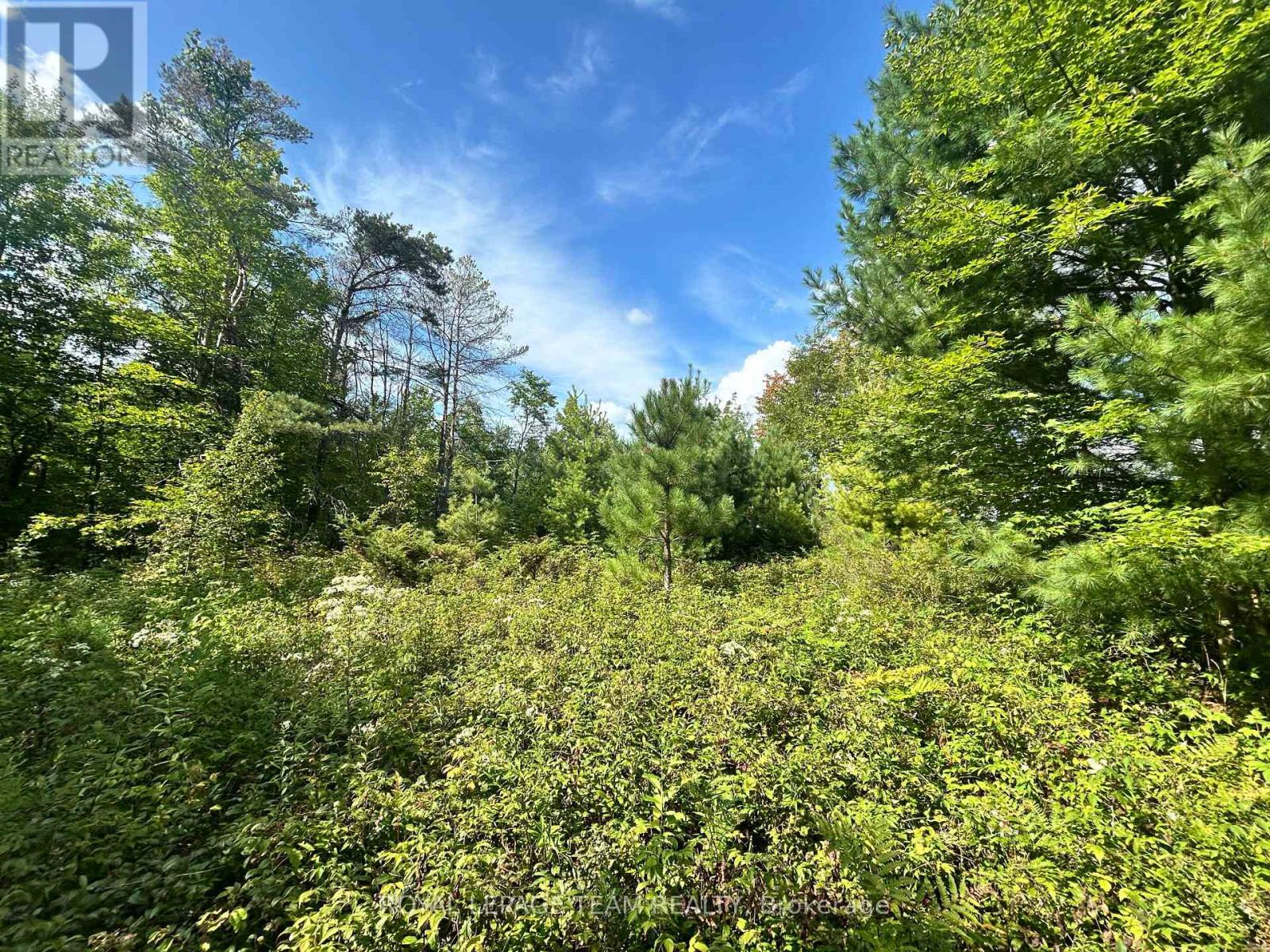 Lot 7 Pond Road, Tay Valley, Ontario  K0H 2B0 - Photo 5 - X13679744