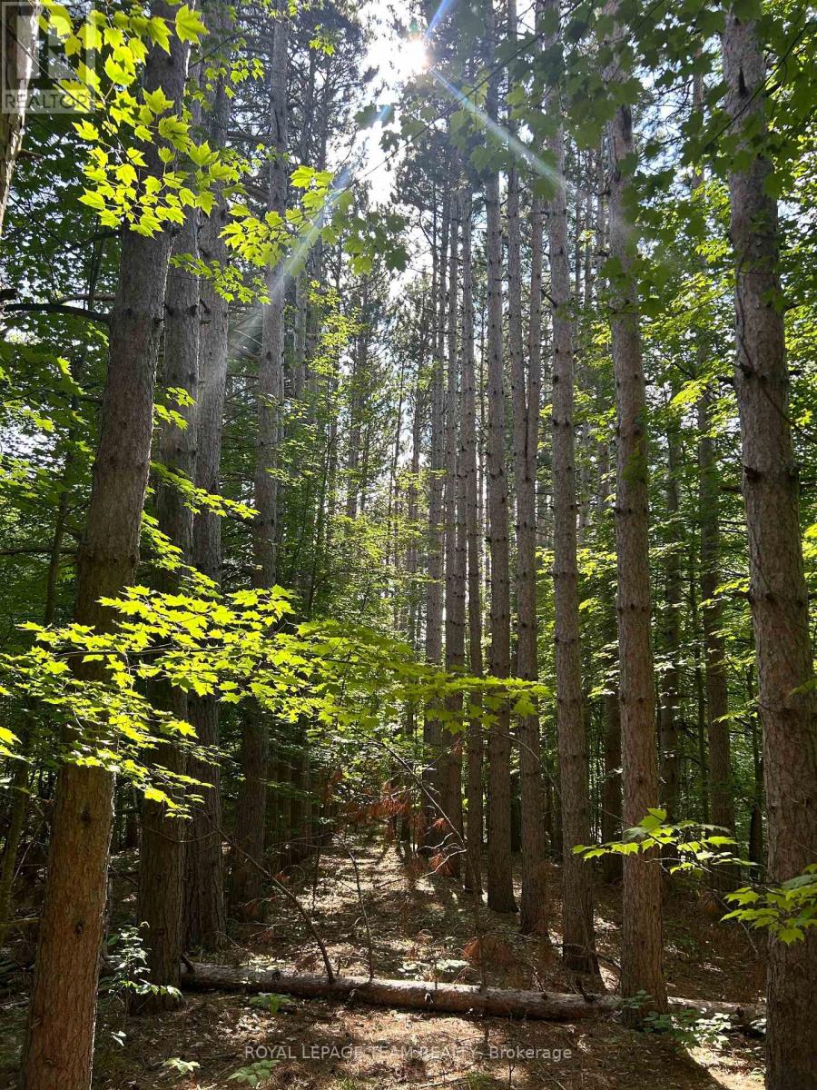 LOT 7 POND ROAD, Tay Valley, Ontario
