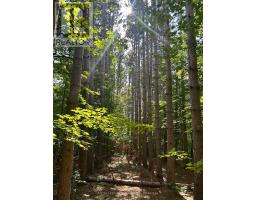 LOT 7 POND ROAD, Tay Valley, Ontario