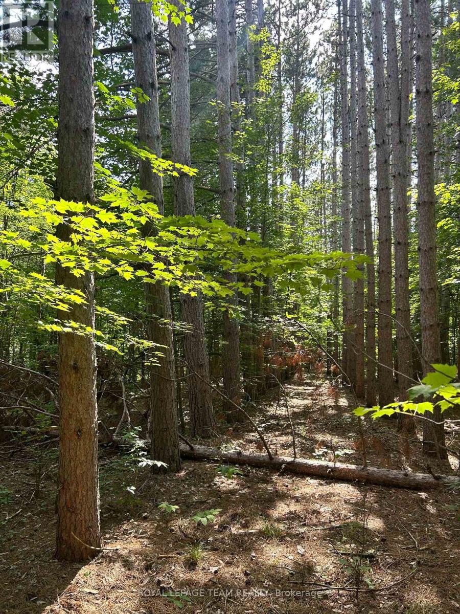 LOT 8 POND ROAD, Tay Valley, Ontario