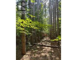 LOT 8 POND ROAD, Tay Valley, Ontario