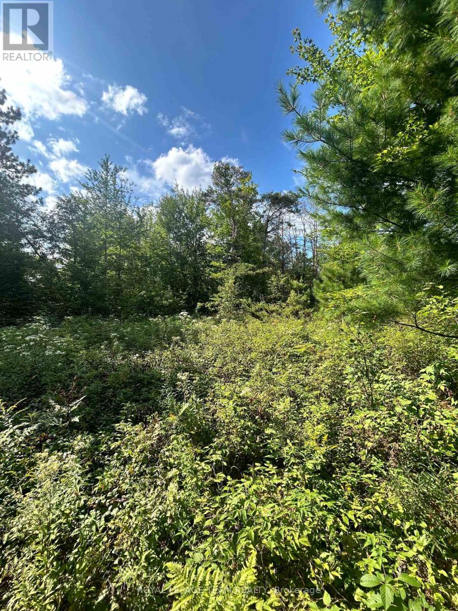 Lot 7 Pond Road, Tay Valley, Ontario  K0H 2B0 - Photo 8 - X13679744