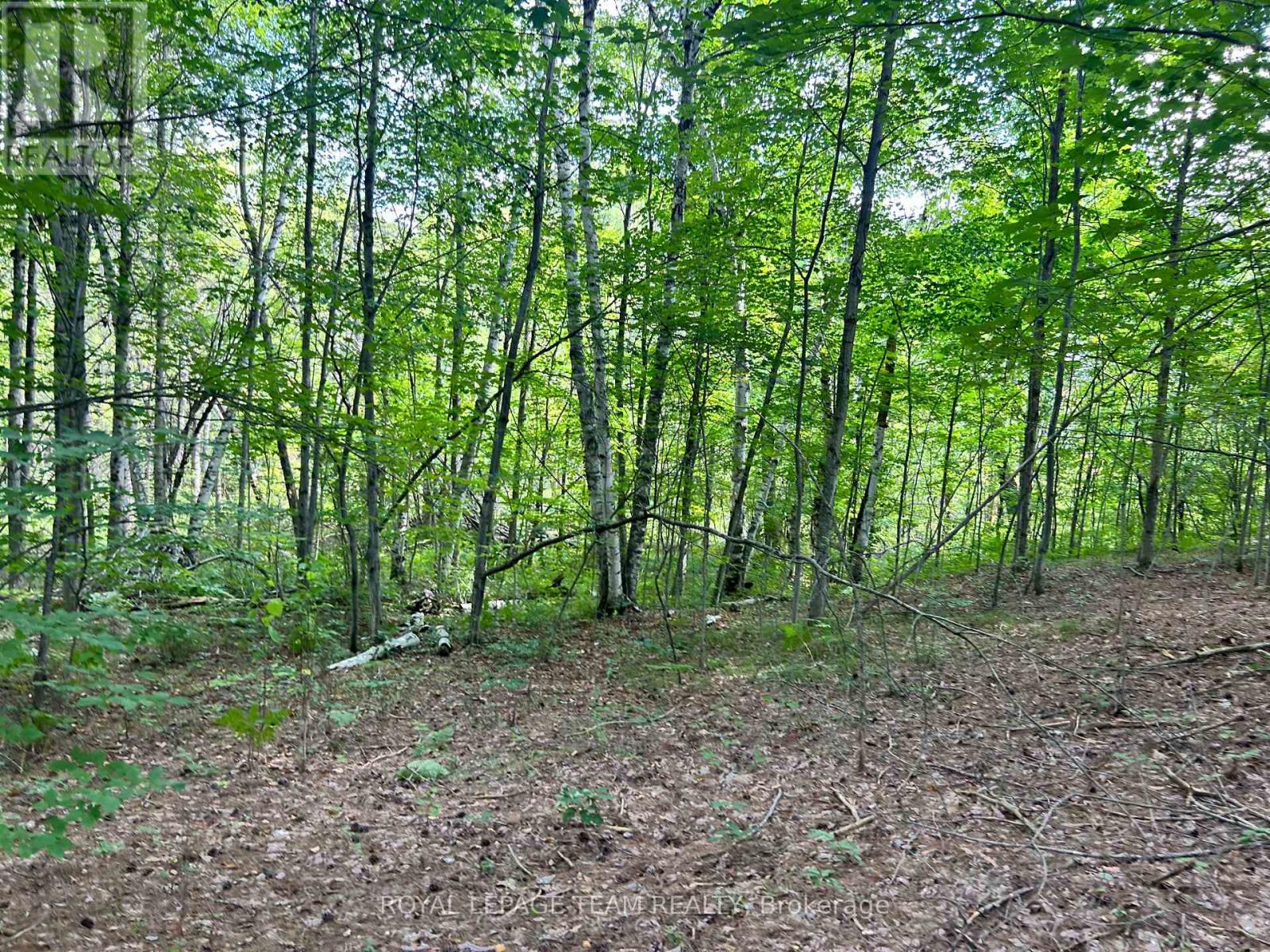 Lot 7 Pond Road, Tay Valley, Ontario  K0H 2B0 - Photo 11 - X13679744