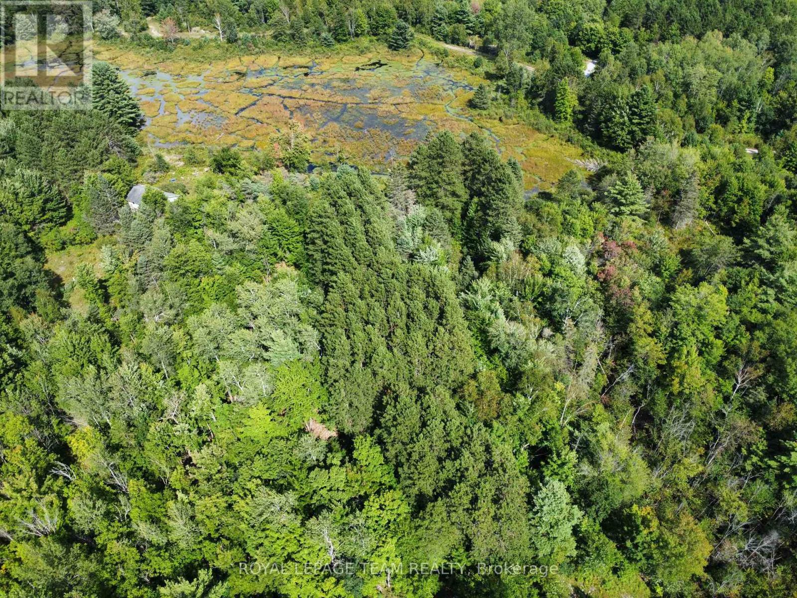 Lot 7 Pond Road, Tay Valley, Ontario  K0H 2B0 - Photo 15 - X13679744