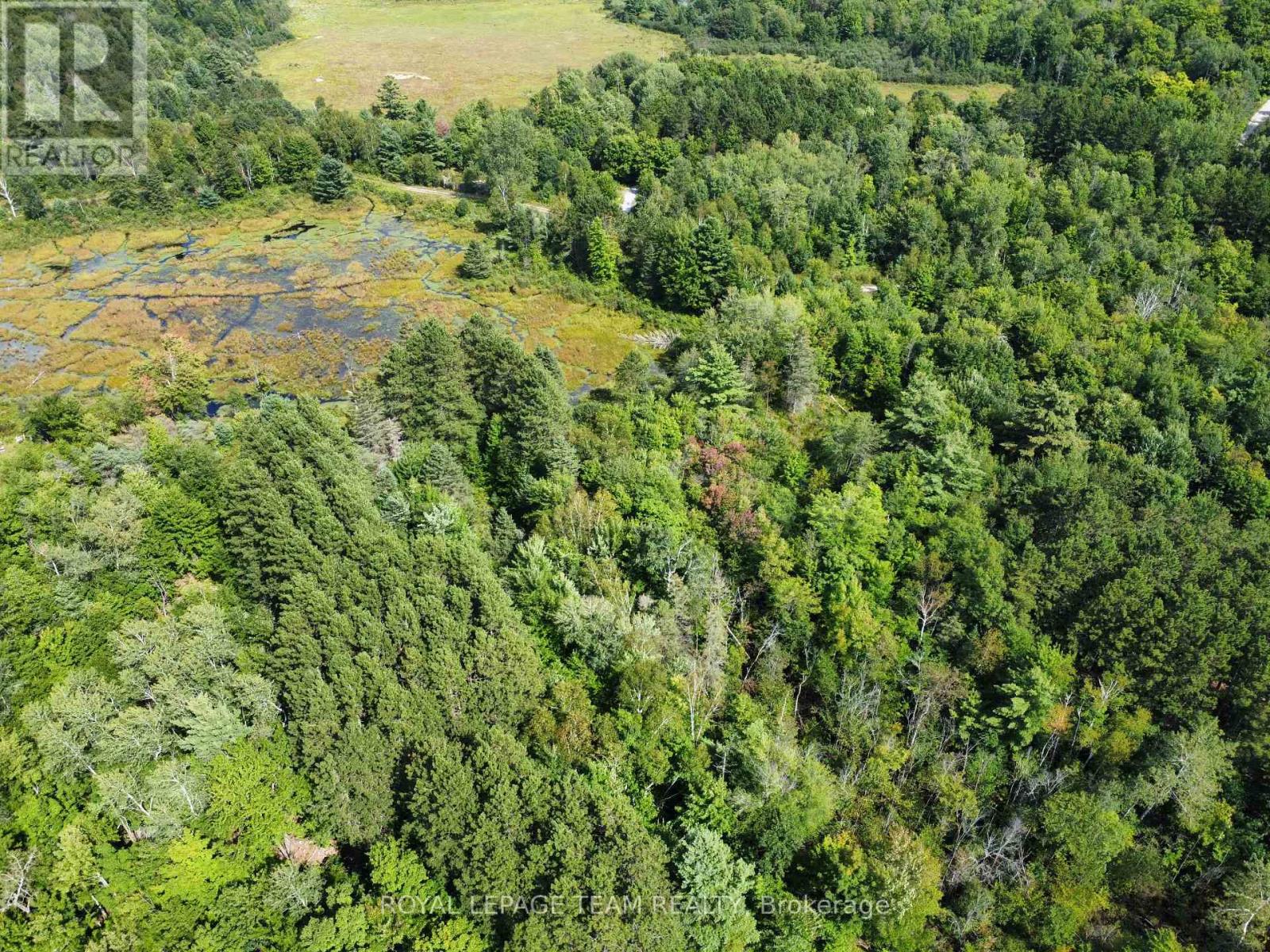 Lot 8 Pond Road, Tay Valley, Ontario  K0H 2B0 - Photo 13 - X13679782