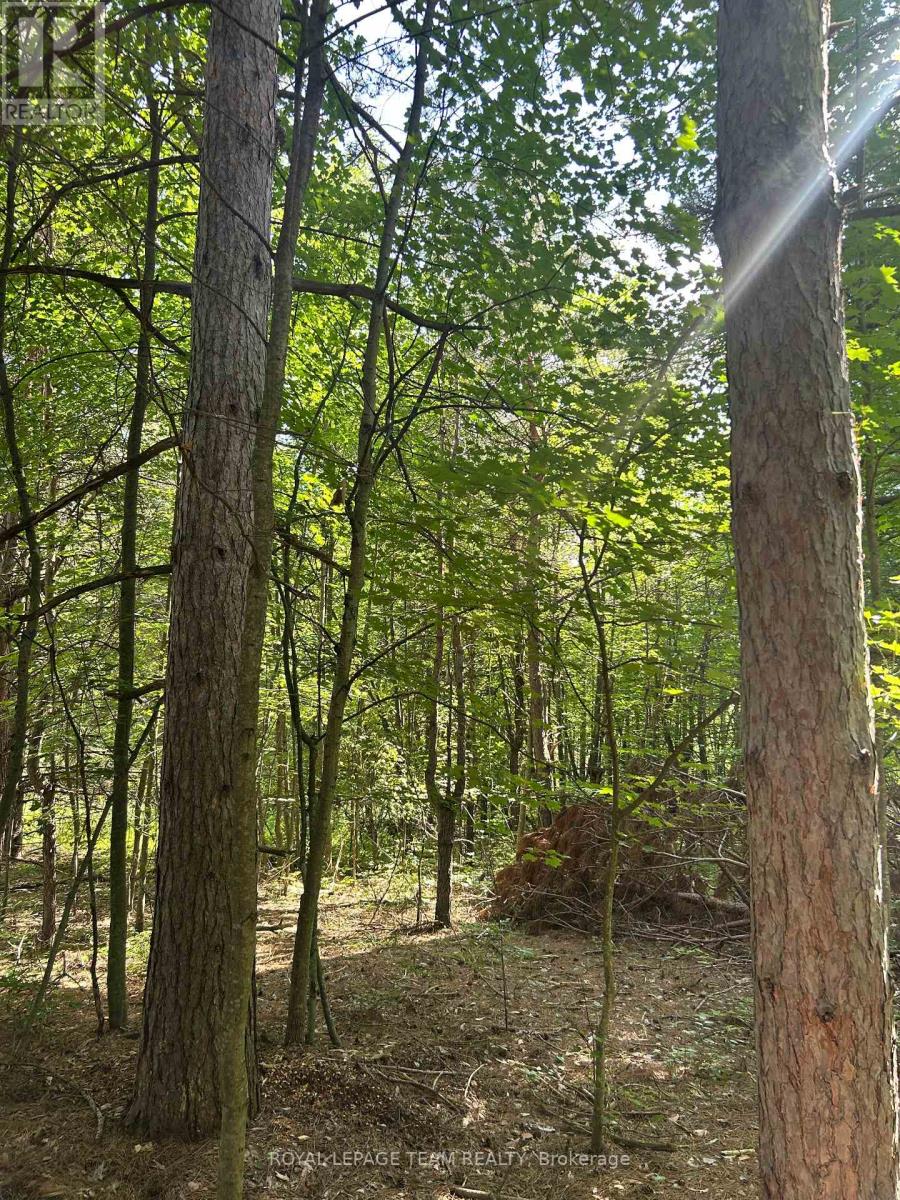 Lot 8 Pond Road, Tay Valley, Ontario  K0H 2B0 - Photo 5 - X13679782