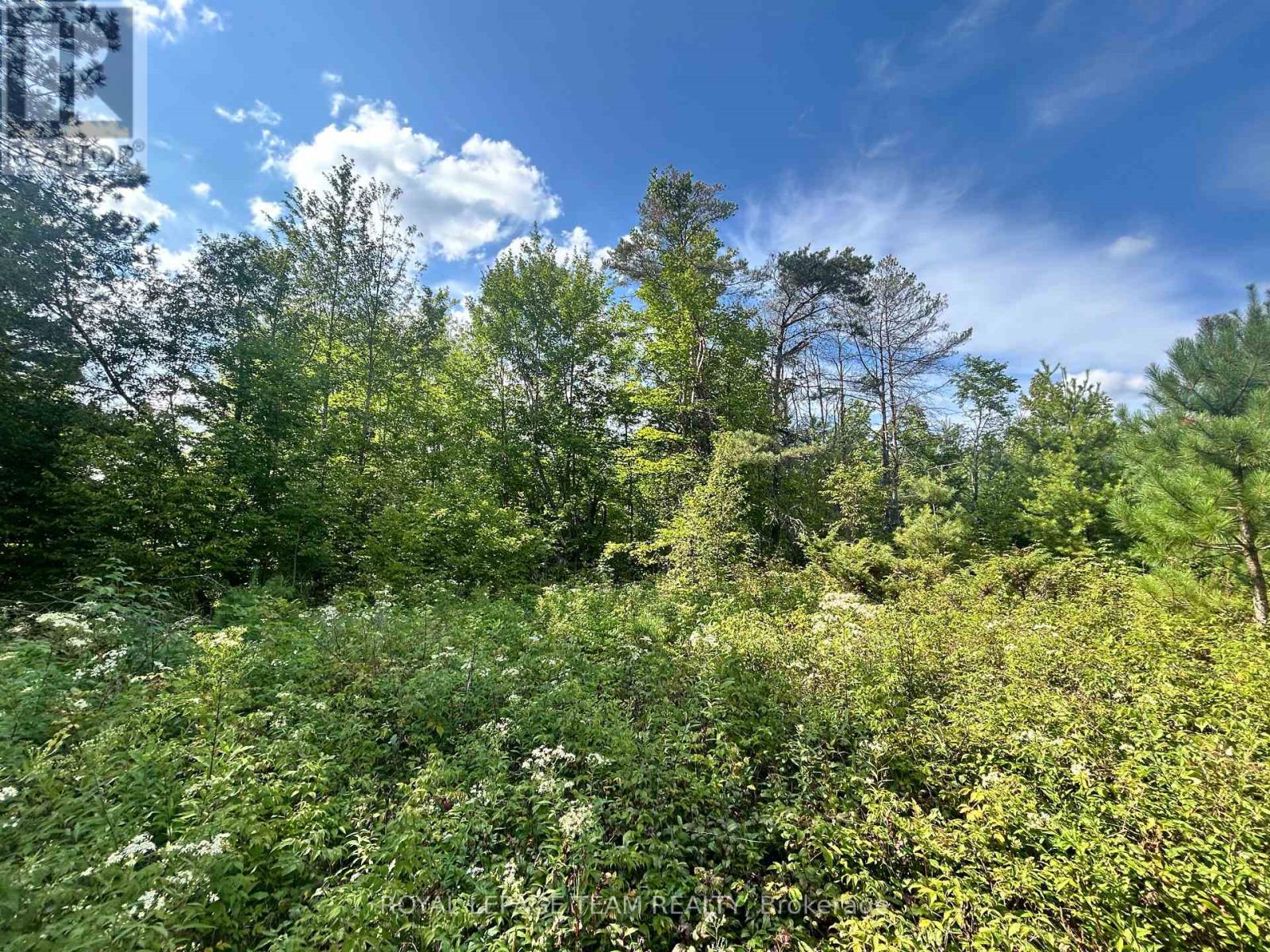 Lot 8 Pond Road, Tay Valley, Ontario  K0H 2B0 - Photo 7 - X13679782