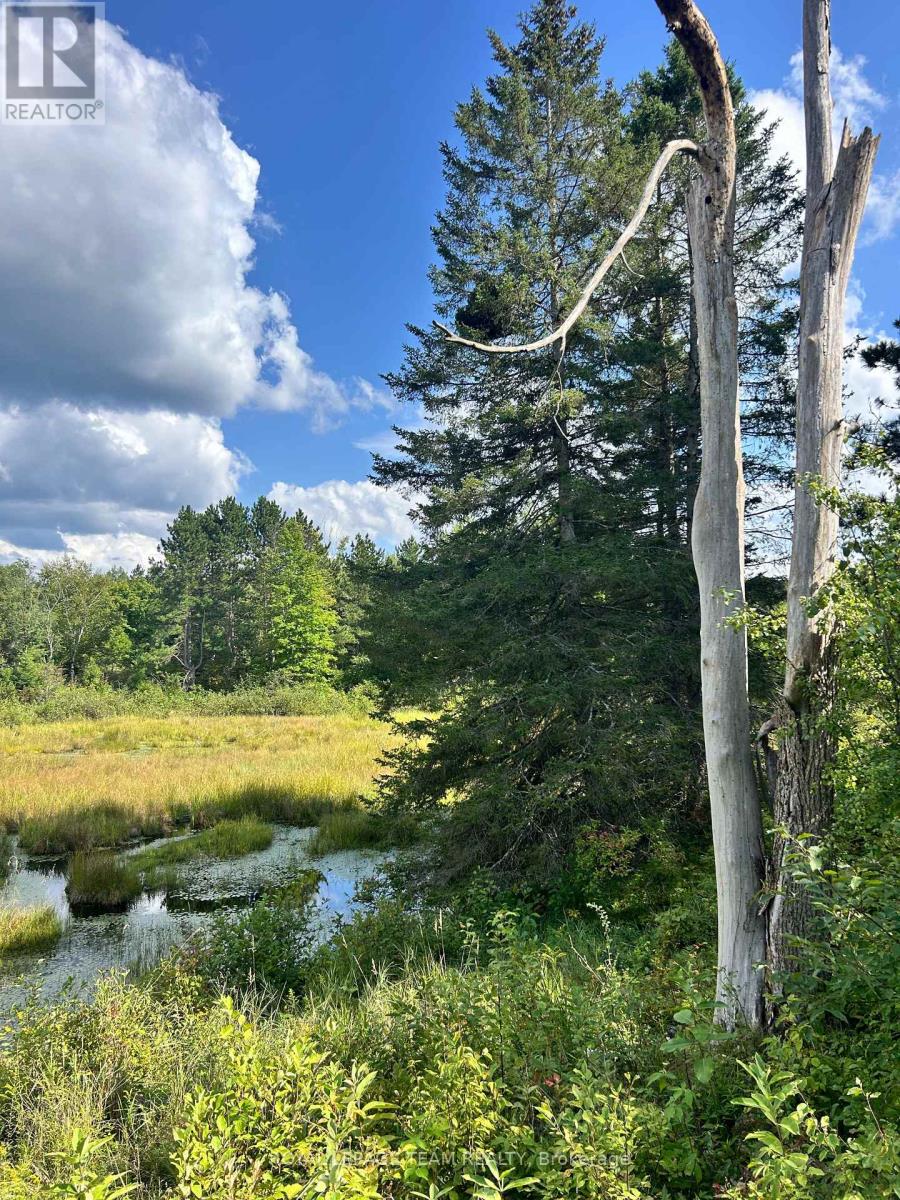 Lot 8 Pond Road, Tay Valley, Ontario  K0H 2B0 - Photo 9 - X13679782