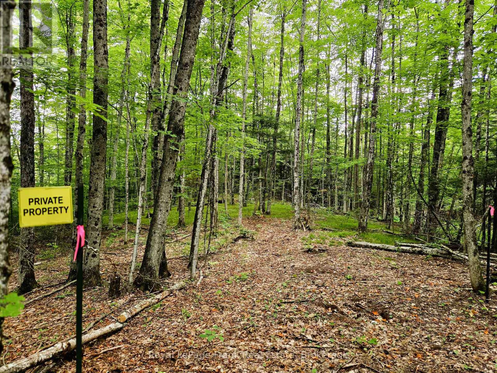 0 North Rusaw Road, North Kawartha, Ontario  K0L 1A0 - Photo 16 - X13693560