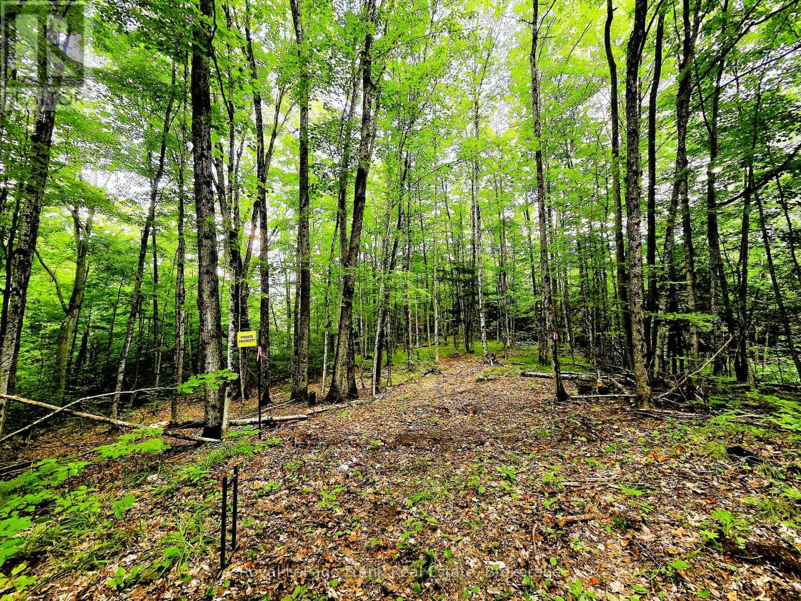 0 North Rusaw Road, North Kawartha, Ontario  K0L 1A0 - Photo 25 - X13693560