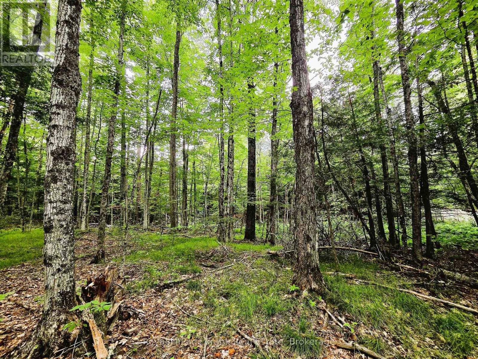 0 North Rusaw Road, North Kawartha, Ontario  K0L 1A0 - Photo 18 - X13693560