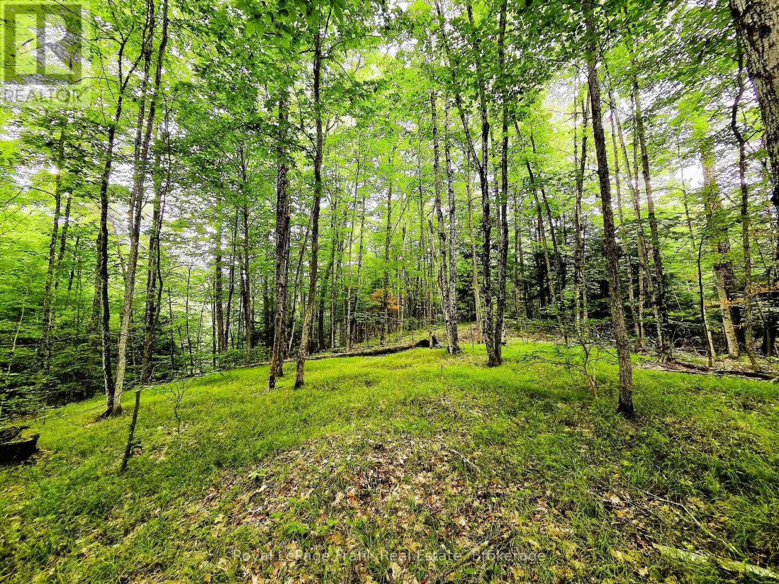 0 North Rusaw Road, North Kawartha, Ontario  K0L 1A0 - Photo 21 - X13693560
