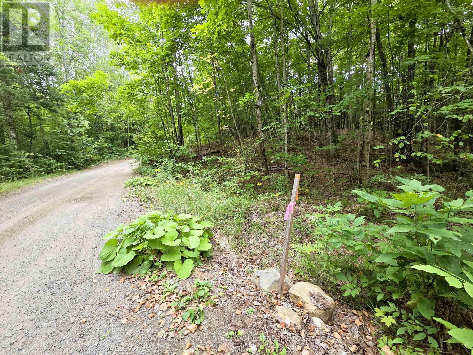 0 North Rusaw Road, North Kawartha, Ontario  K0L 1A0 - Photo 27 - X13693560