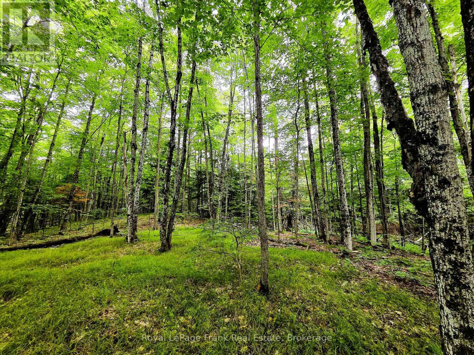 0 North Rusaw Road, North Kawartha, Ontario  K0L 1A0 - Photo 24 - X13693560