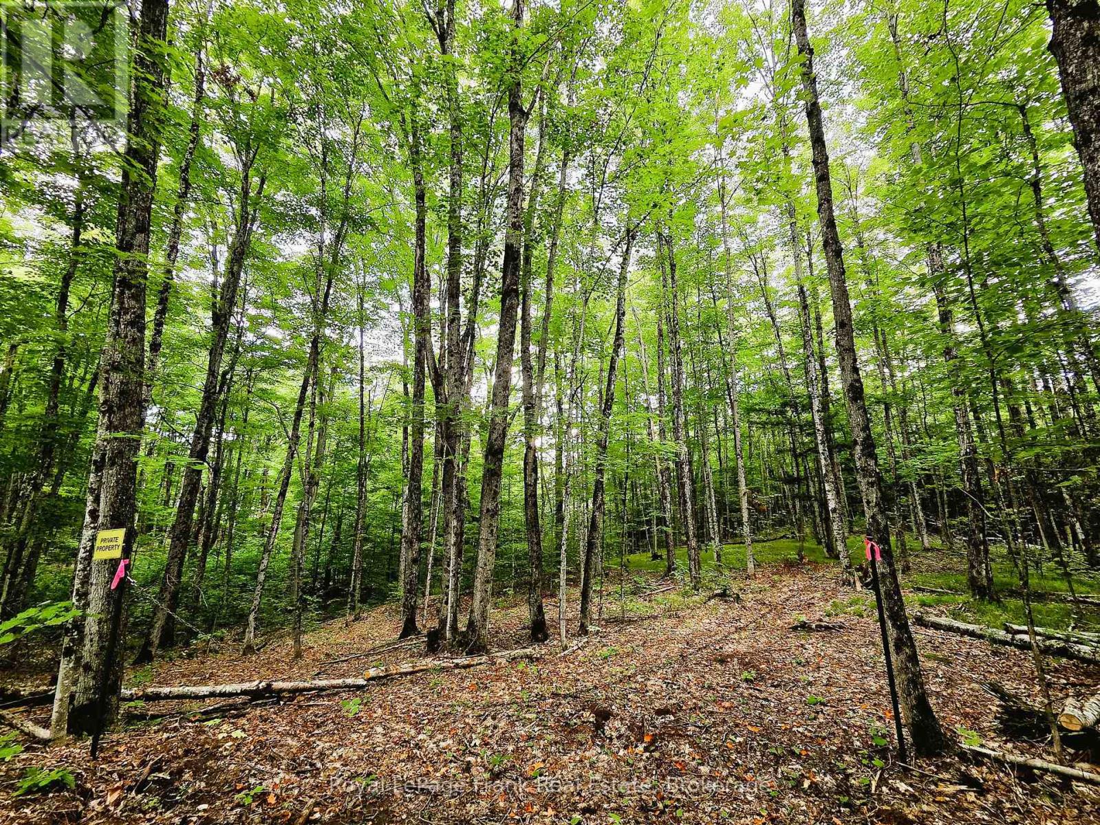 0 North Rusaw Road, North Kawartha, Ontario  K0L 1A0 - Photo 20 - X13693560