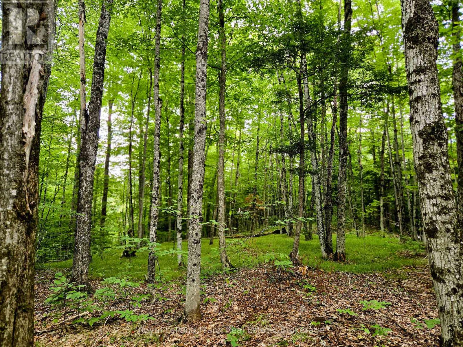 0 North Rusaw Road, North Kawartha, Ontario  K0L 1A0 - Photo 22 - X13693560