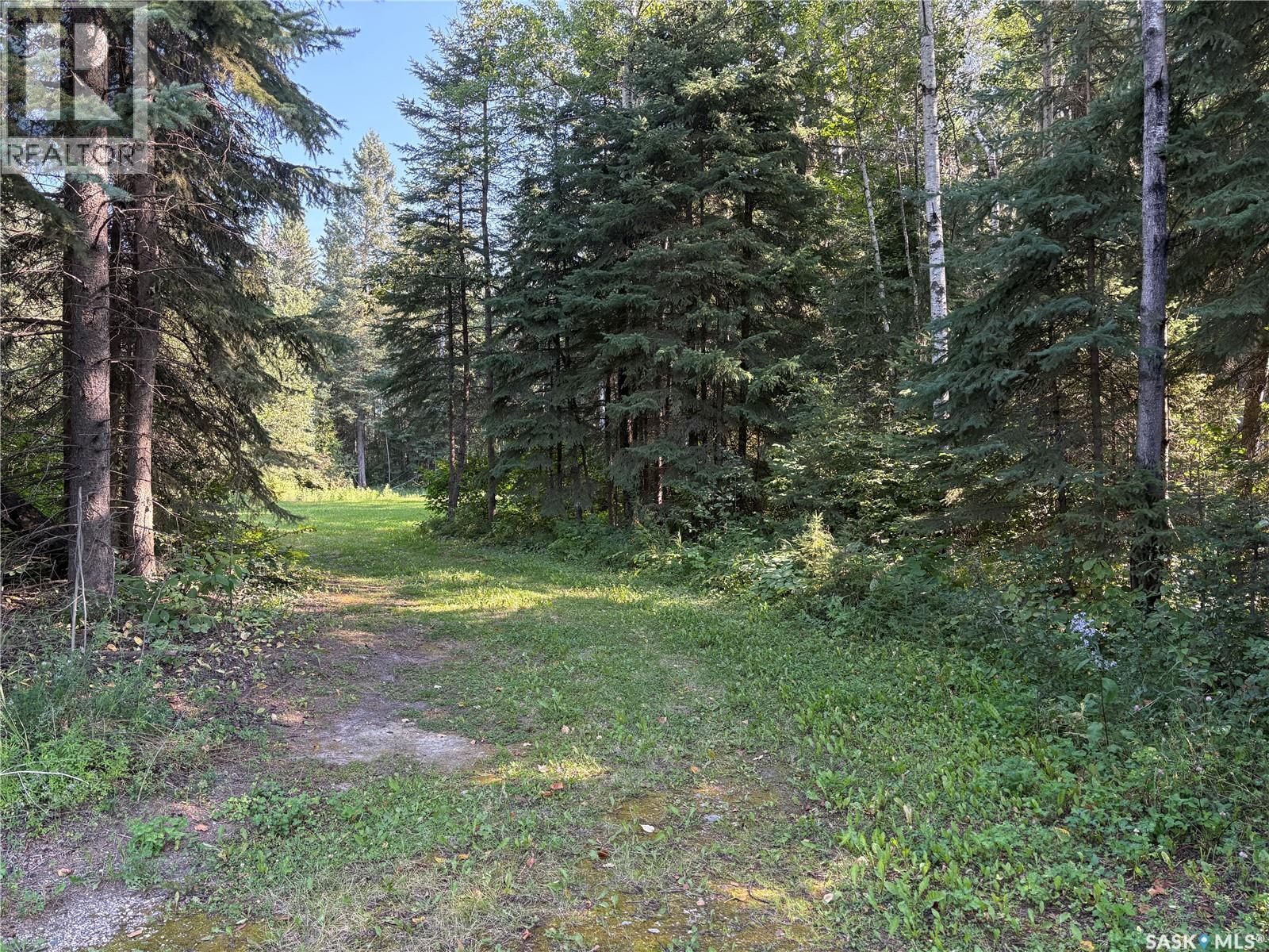 2.54 Acre Building Lot, Big River Rm No. 555, Saskatchewan  S0J 0E0 - Photo 1 - SK046389