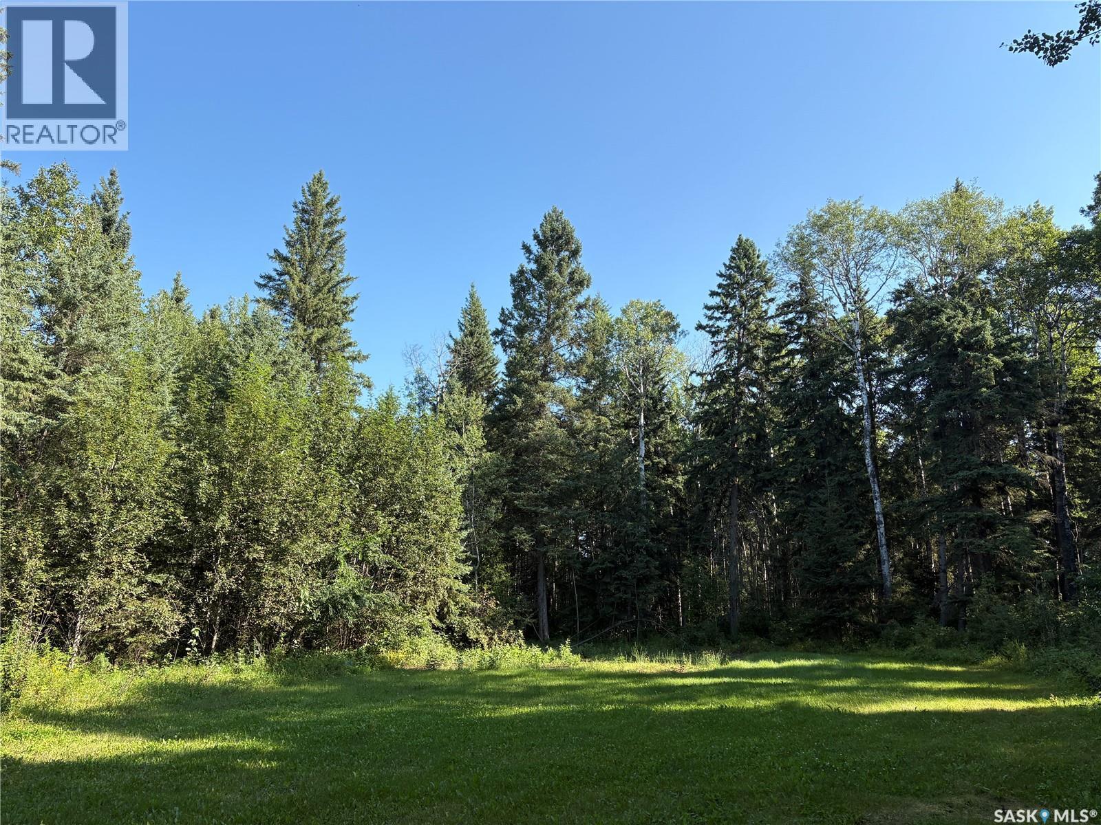 2.54 Acre Building Lot, Big River Rm No. 555, Saskatchewan  S0J 0E0 - Photo 4 - SK046389