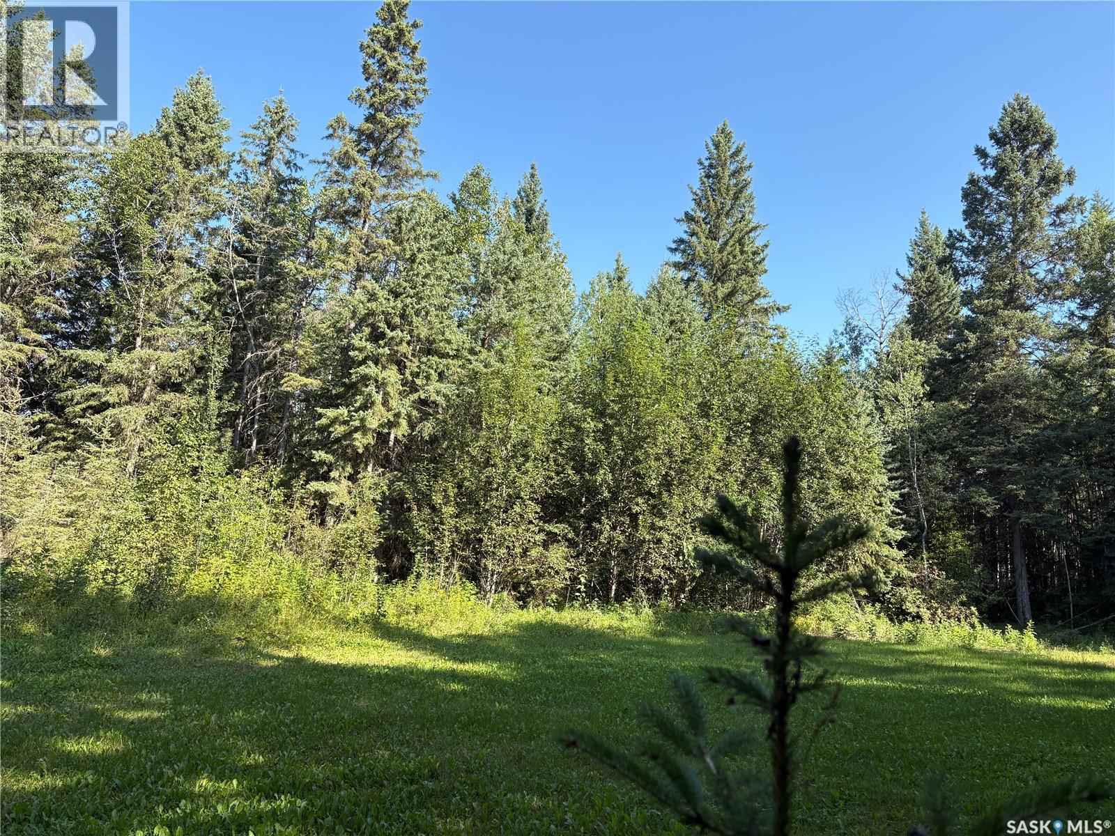 2.54 Acre Building Lot, Big River Rm No. 555, Saskatchewan  S0J 0E0 - Photo 5 - SK046389