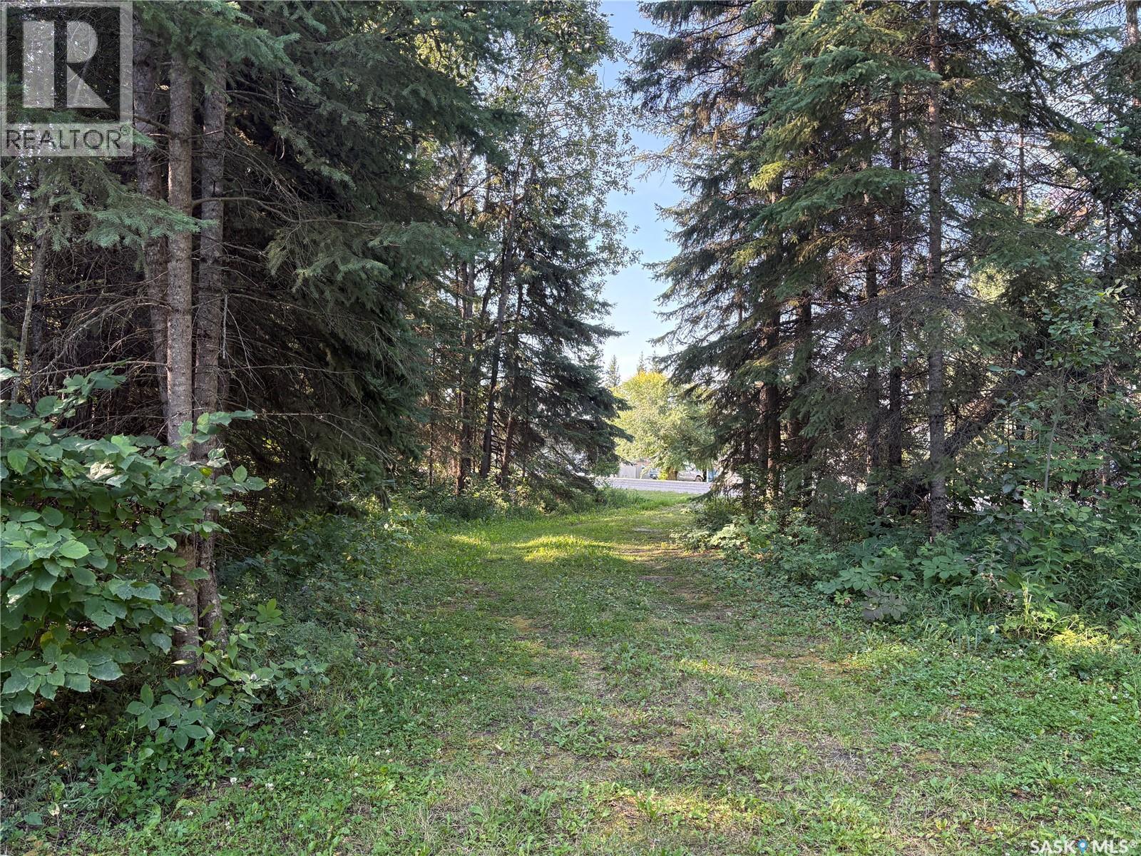 2.54 Acre Building Lot, Big River Rm No. 555, Saskatchewan  S0J 0E0 - Photo 6 - SK046389