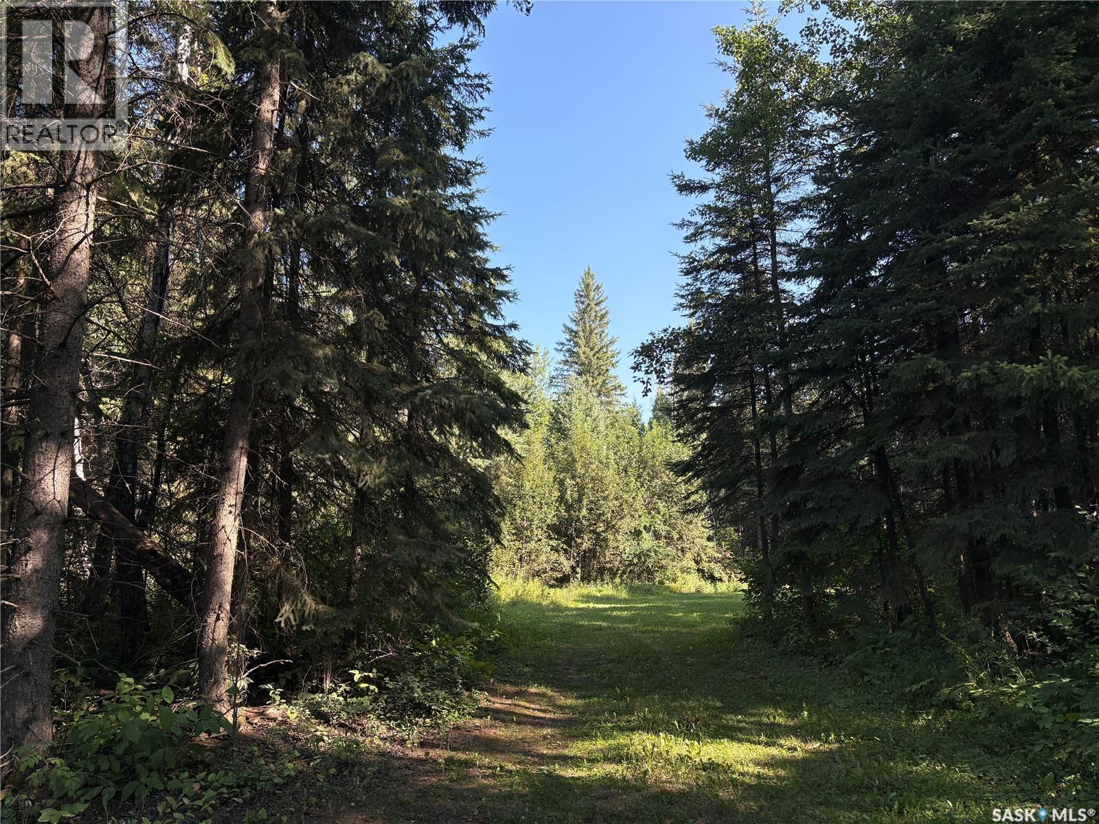 2.54 Acre Building Lot, Big River Rm No. 555, Saskatchewan  S0J 0E0 - Photo 7 - SK046389