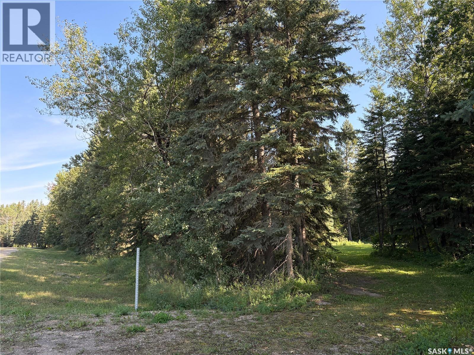 2.54 Acre Building Lot, Big River Rm No. 555, Saskatchewan  S0J 0E0 - Photo 8 - SK046389