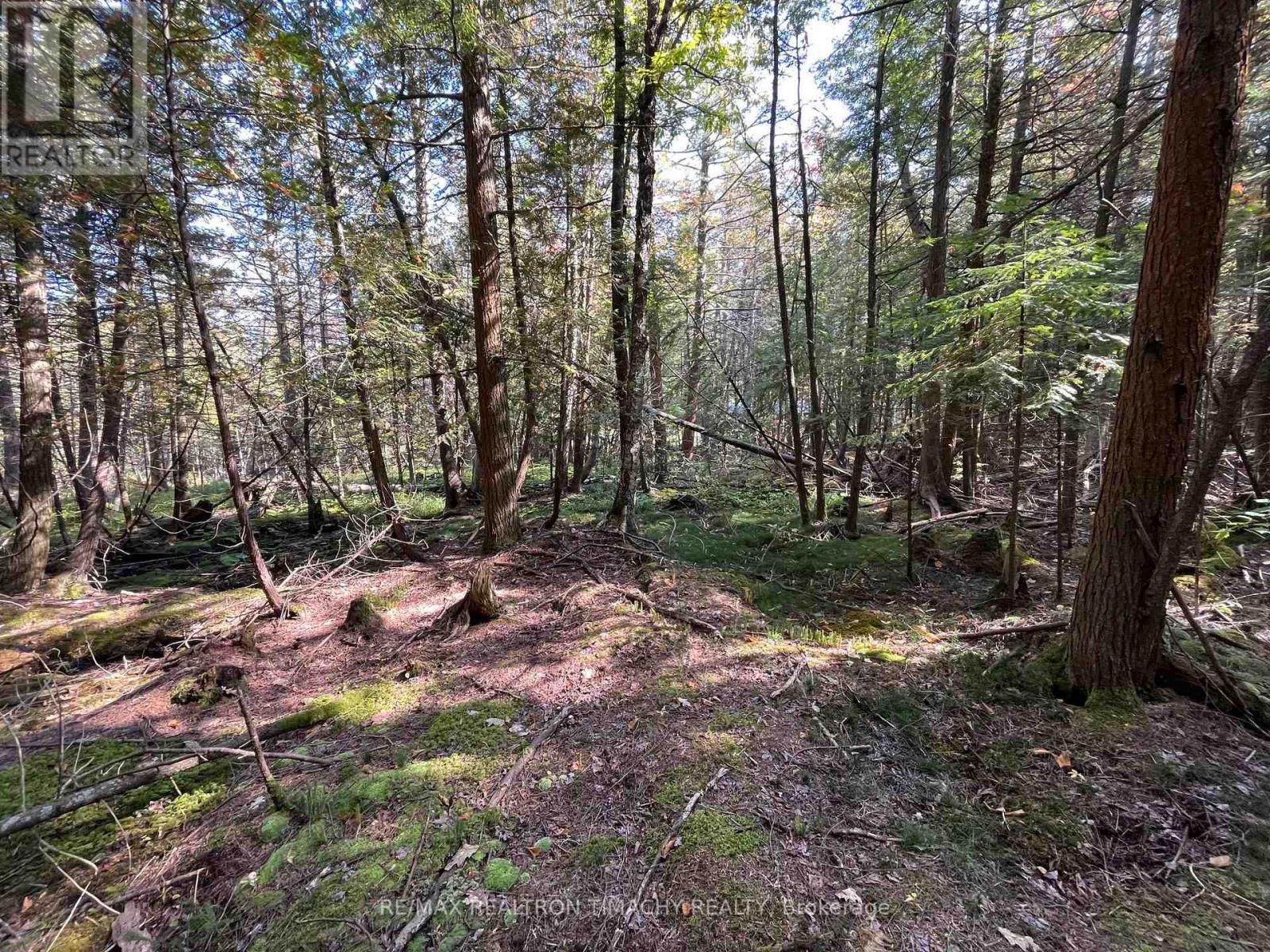 LOT 25 CHAMPLAIN ROAD, Tiny, Ontario