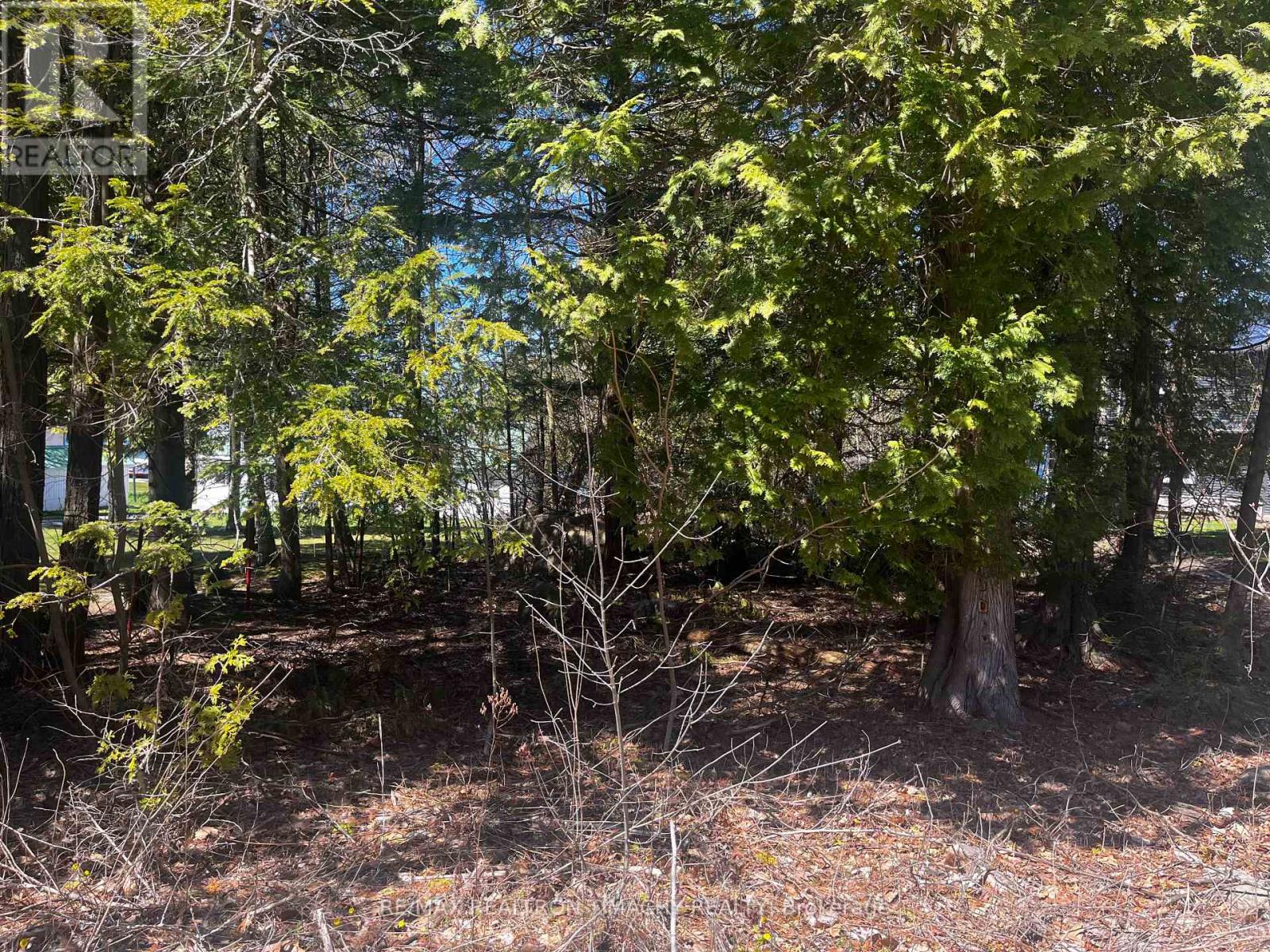 Lot 25 Champlain Road, Tiny, Ontario  L9M 0C3 - Photo 12 - S13704892