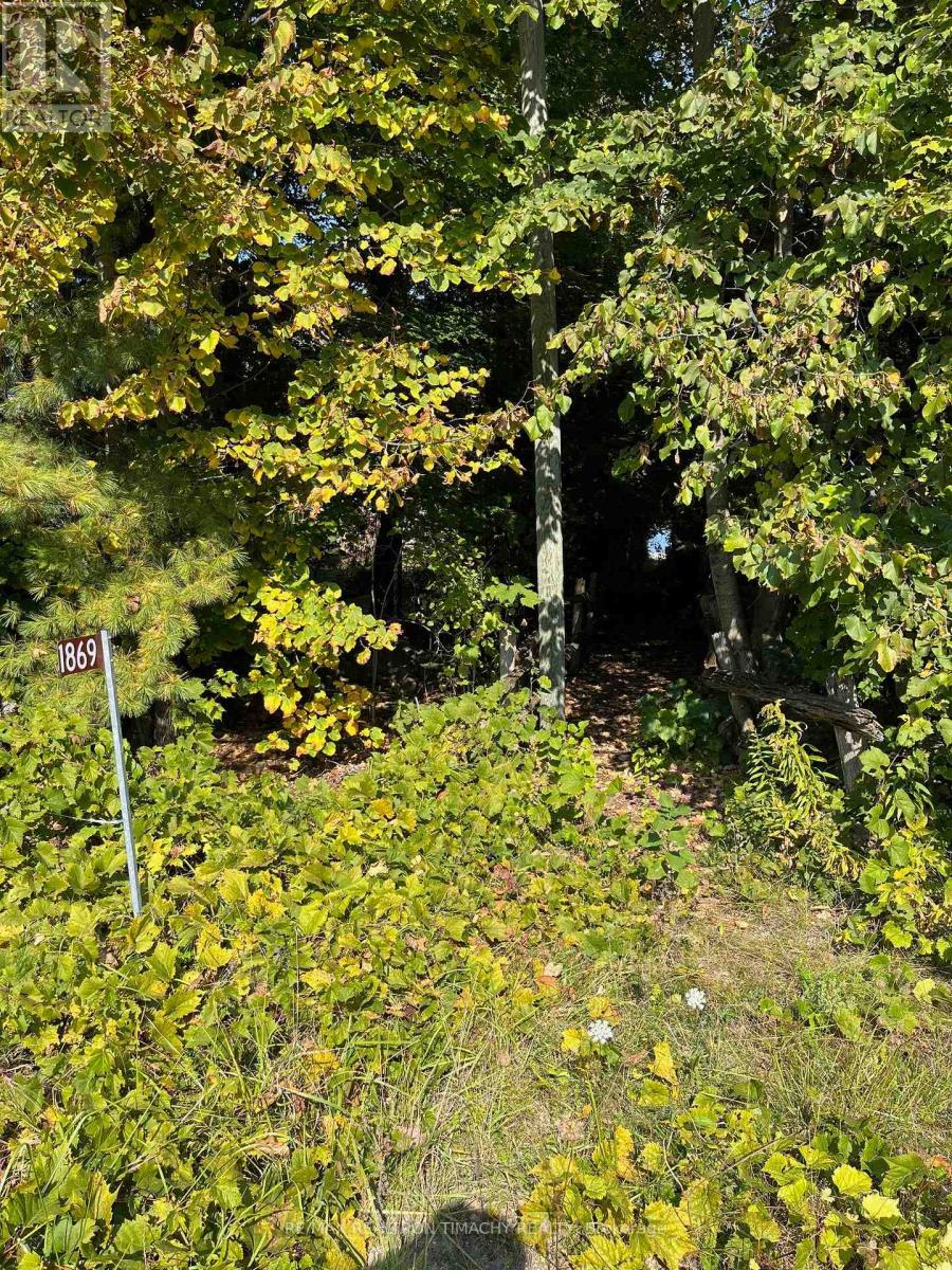 Lot 25 Champlain Road, Tiny, Ontario  L9M 0C3 - Photo 13 - S13704892