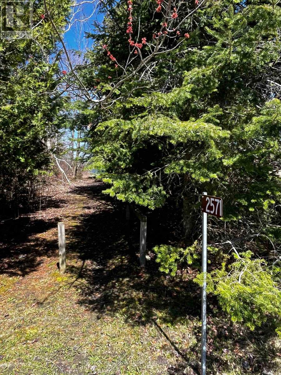 Lot 25 Champlain Road, Tiny, Ontario  L9M 0C3 - Photo 4 - S13704892