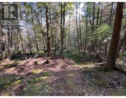 LOT 25 CHAMPLAIN ROAD, Tiny, Ontario