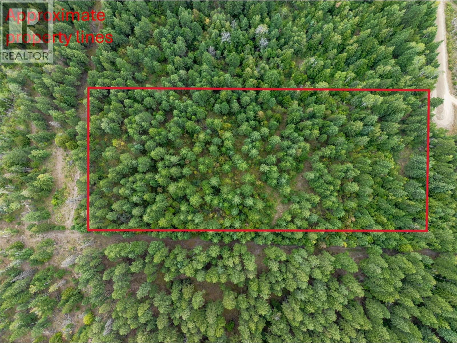 8588 Black Mountain Road, Chase, British Columbia  V0E 1M0 - Photo 6 - 10397053