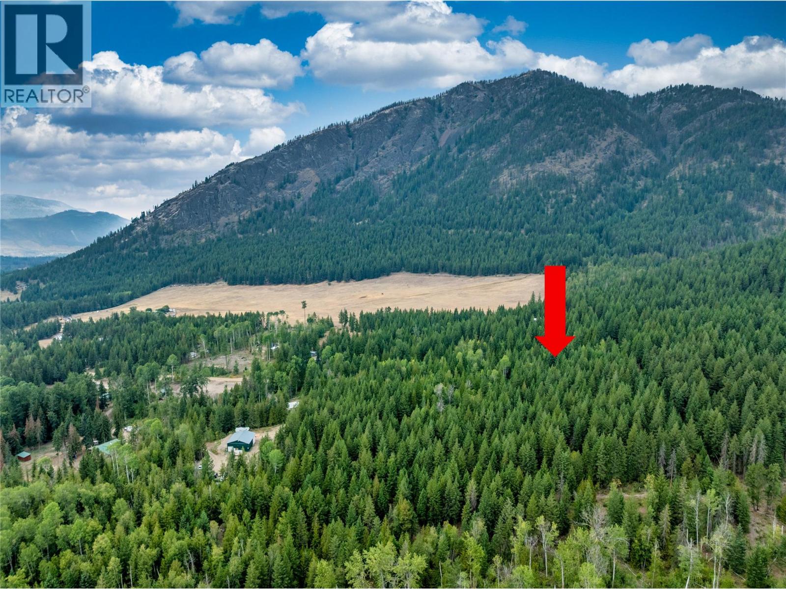 8588 Black Mountain Road, Chase, British Columbia  V0E 1M0 - Photo 4 - 10397053