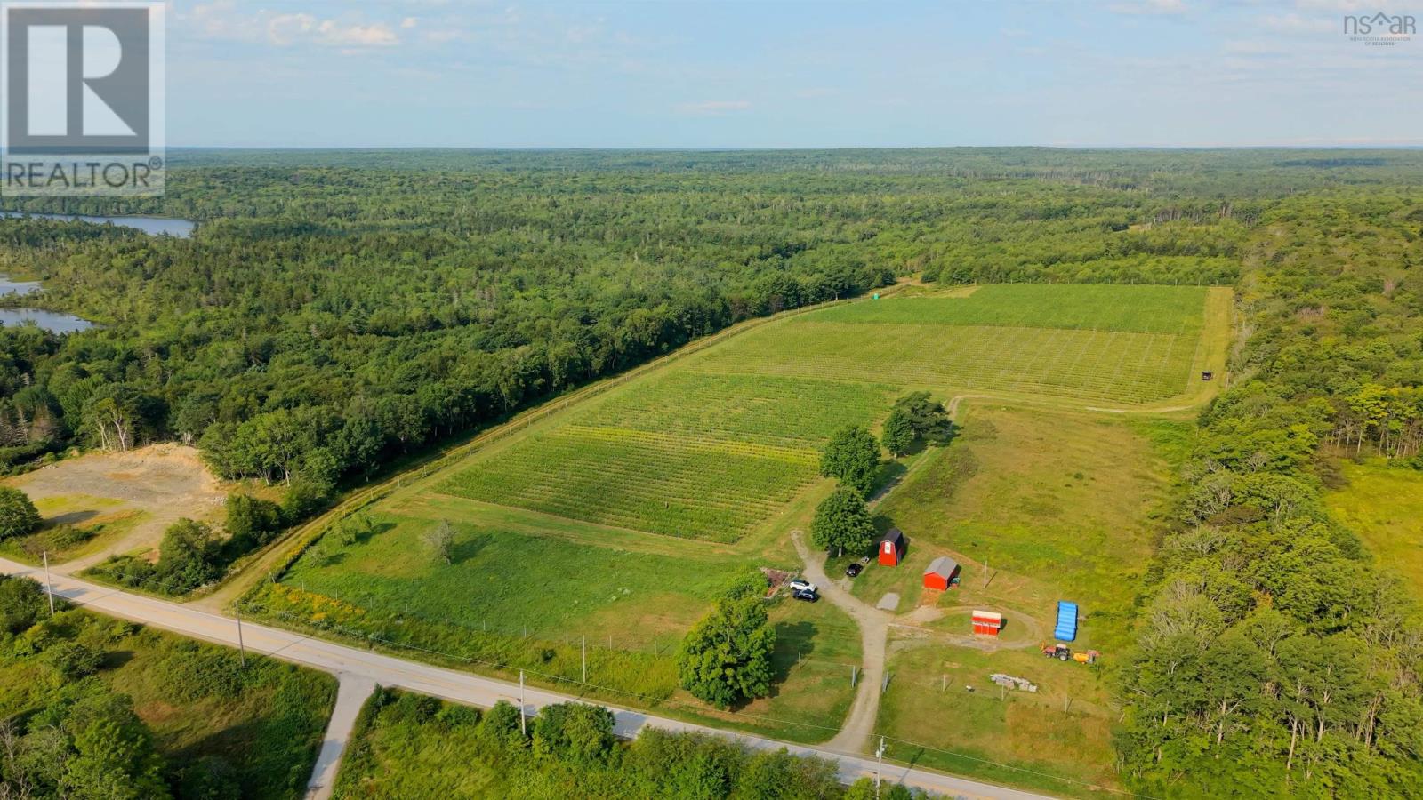 4113 Highway 340, Carleton, Nova Scotia  B5A 5N9 - Photo 17 - 202529196