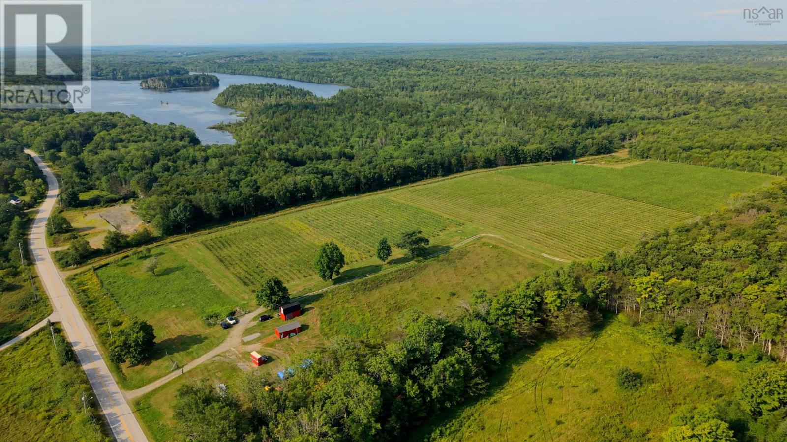 4113 Highway 340, Carleton, Nova Scotia  B5A 5N9 - Photo 47 - 202529196