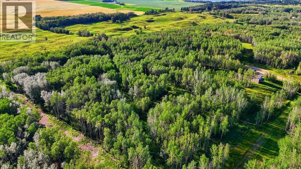 11 424042, Rural Ponoka County, Alberta  T0C 2J0 - Photo 23 - A2339617