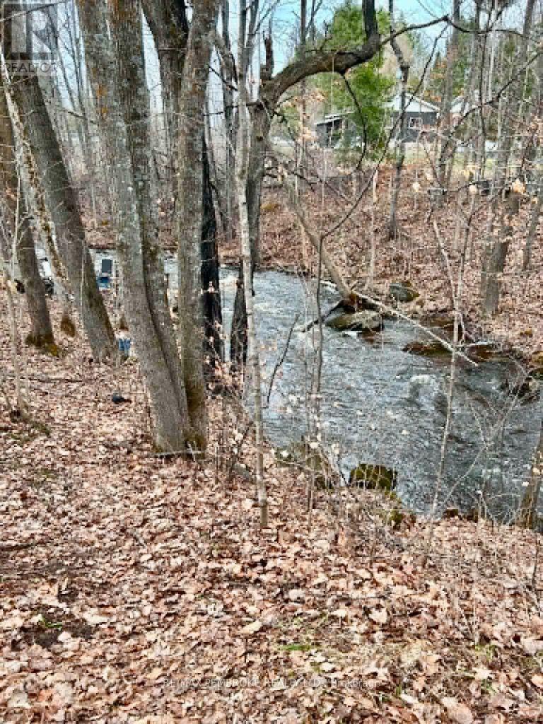 3396 B Line Road, Laurentian Valley, Ontario  K8A 6W7 - Photo 35 - X13705020
