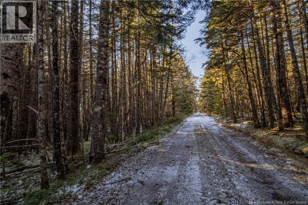 Lot D Old Shore Road, Tynemouth Creek, New Brunswick  E5R 1V8 - Photo 14 - NB146057