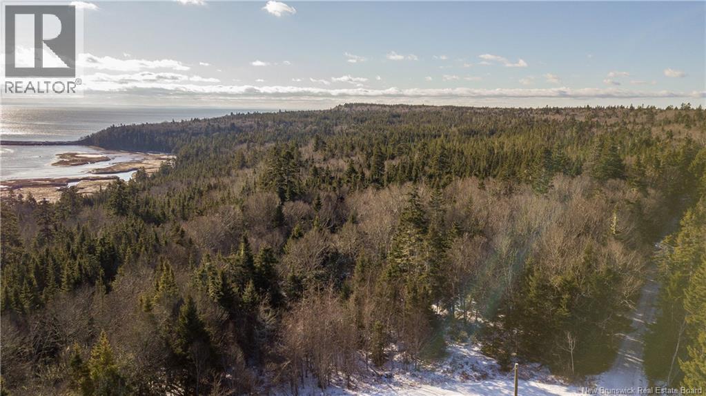 Lot D Old Shore Road, Tynemouth Creek, New Brunswick  E5R 1V8 - Photo 6 - NB146057