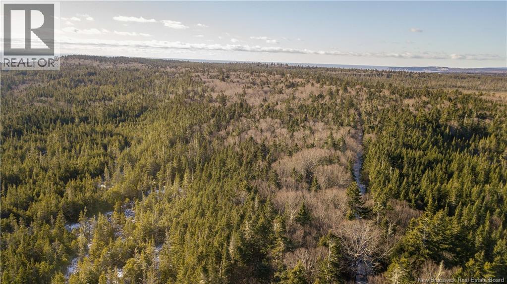 Lot D Old Shore Road, Tynemouth Creek, New Brunswick  E5R 1V8 - Photo 10 - NB146057