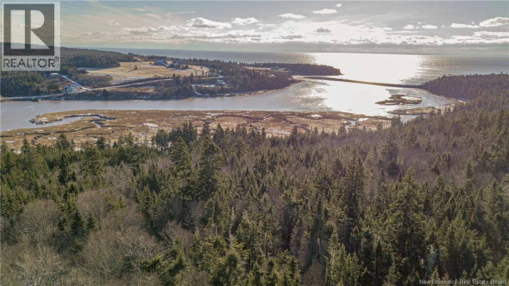 Lot D Old Shore Road, Tynemouth Creek, New Brunswick  E5R 1V8 - Photo 3 - NB146057