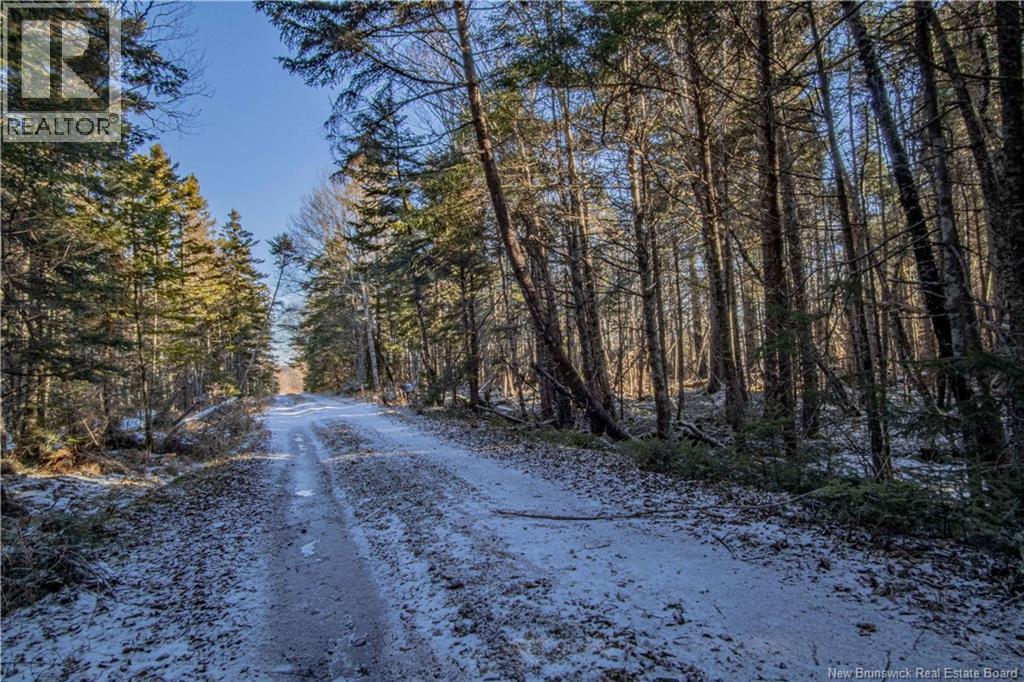 Lot D Old Shore Road, Tynemouth Creek, New Brunswick  E5R 1V8 - Photo 13 - NB146057