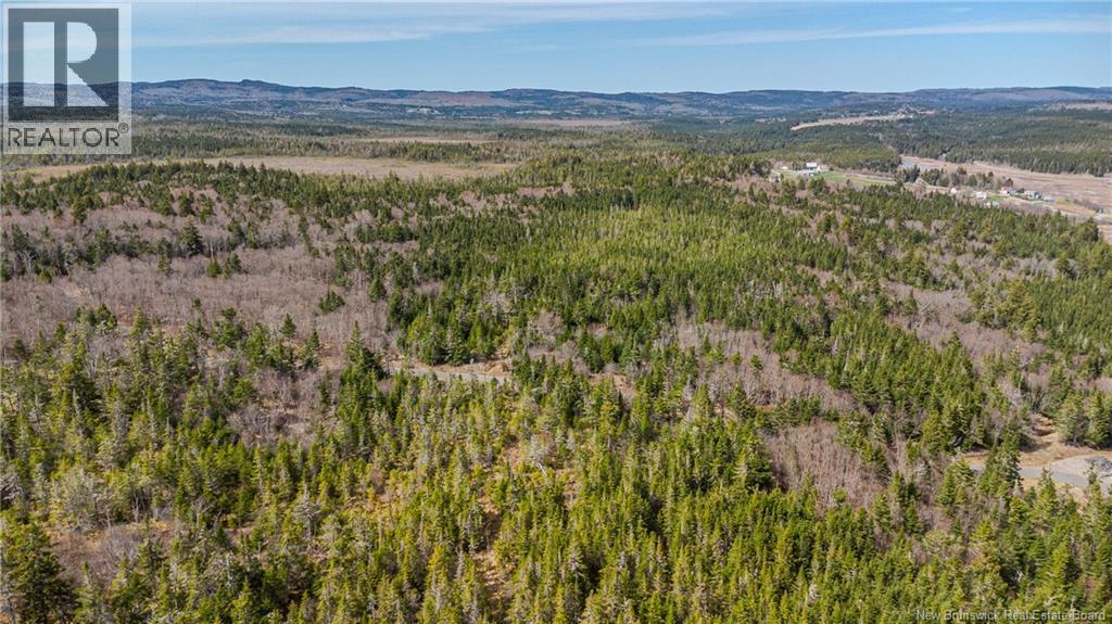 Lot D Old Shore Road, Tynemouth Creek, New Brunswick  E5R 1V8 - Photo 15 - NB146057