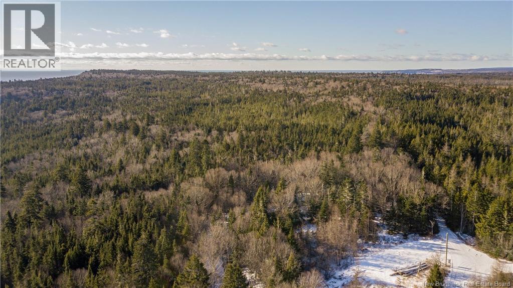 Lot D Old Shore Road, Tynemouth Creek, New Brunswick  E5R 1V8 - Photo 9 - NB146057