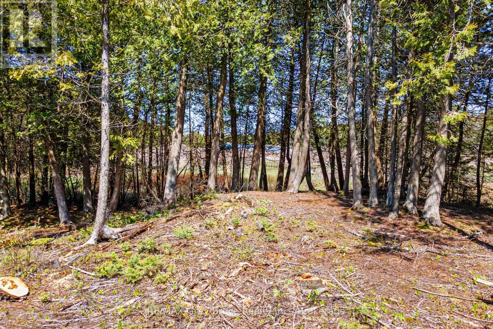228 Corey Crescent, Northern Bruce Peninsula, Ontario  N0H 2R0 - Photo 18 - X13705108